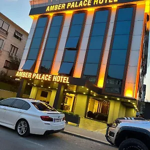 Hotel Amber Palace